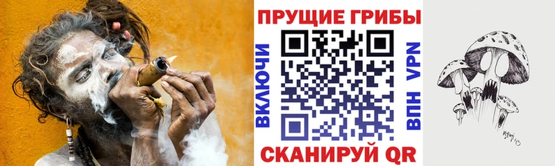 Галлюциногенные грибы Psilocybe как найти закладки Кинель